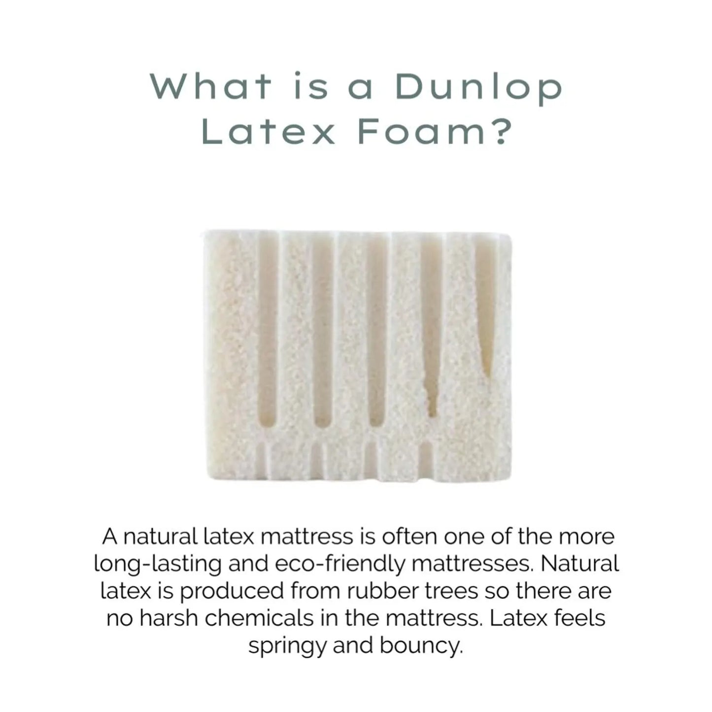 DUNLOP LATEX MEDIUM (ILD30) 2''